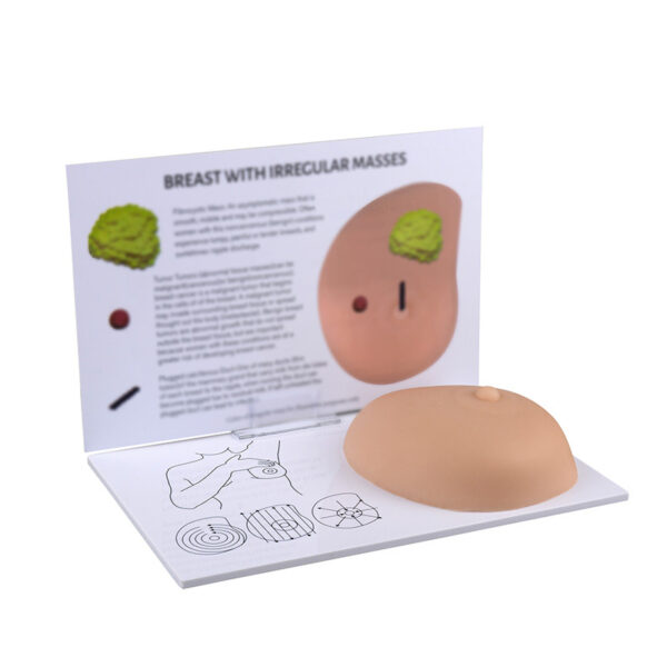 Breast Self-Examination with Irregular masses Model