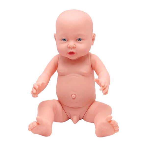 New Born Baby Model (Male)