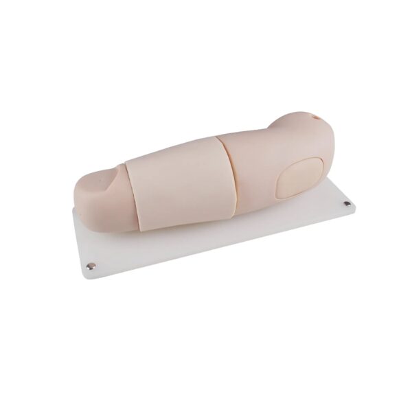 Subcutaneous Embedded Contraception Arm Model