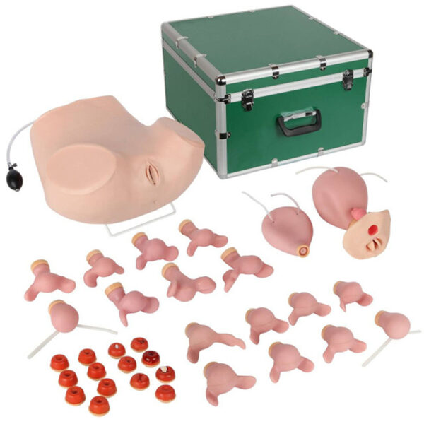 Gynaecological Training Simulator