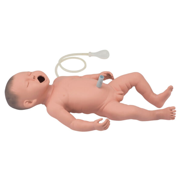 Neonatal Resuscitation Simulator