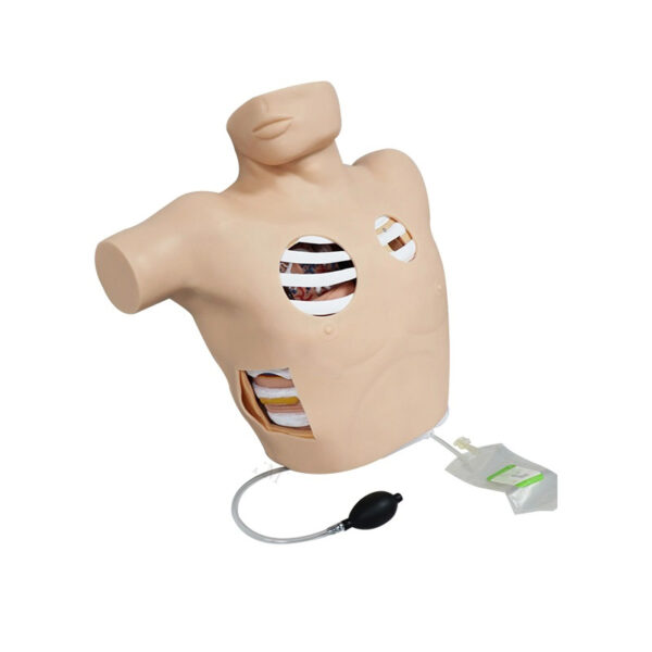 Thoracentesis Drainage Model / Pleural Drainage Simulator