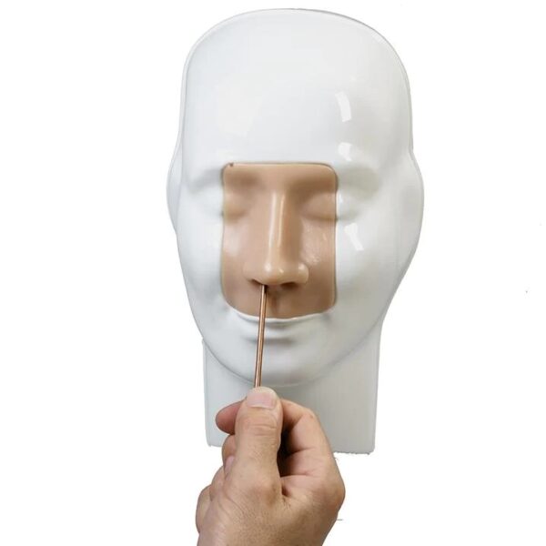 Advanced nasal Haemorrhage Simulator