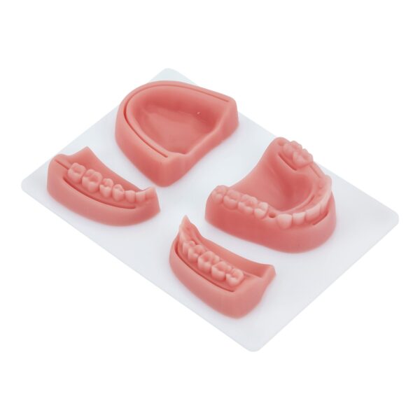 Dental Suture and Skill Training Pad