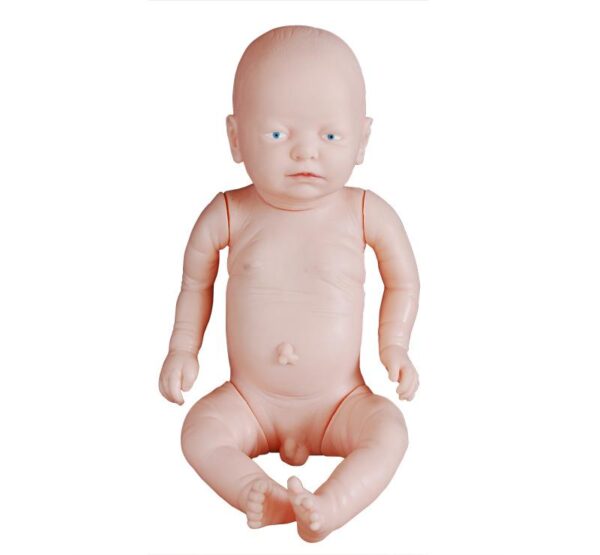 New Born Baby Model (Male)