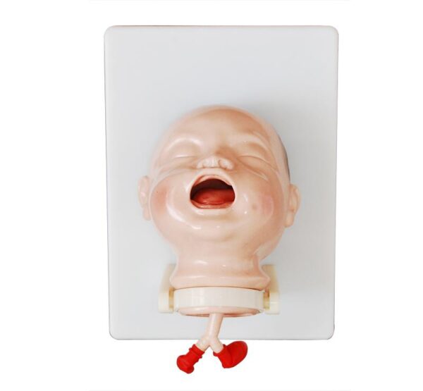 Newborn Intubation Model