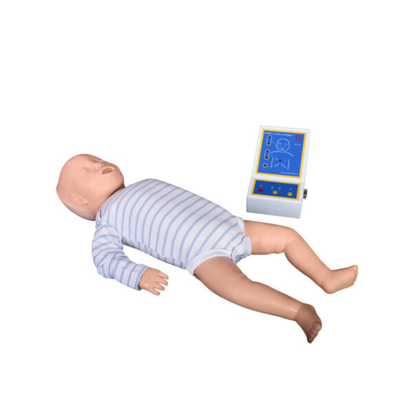 Infant CPR Training Model